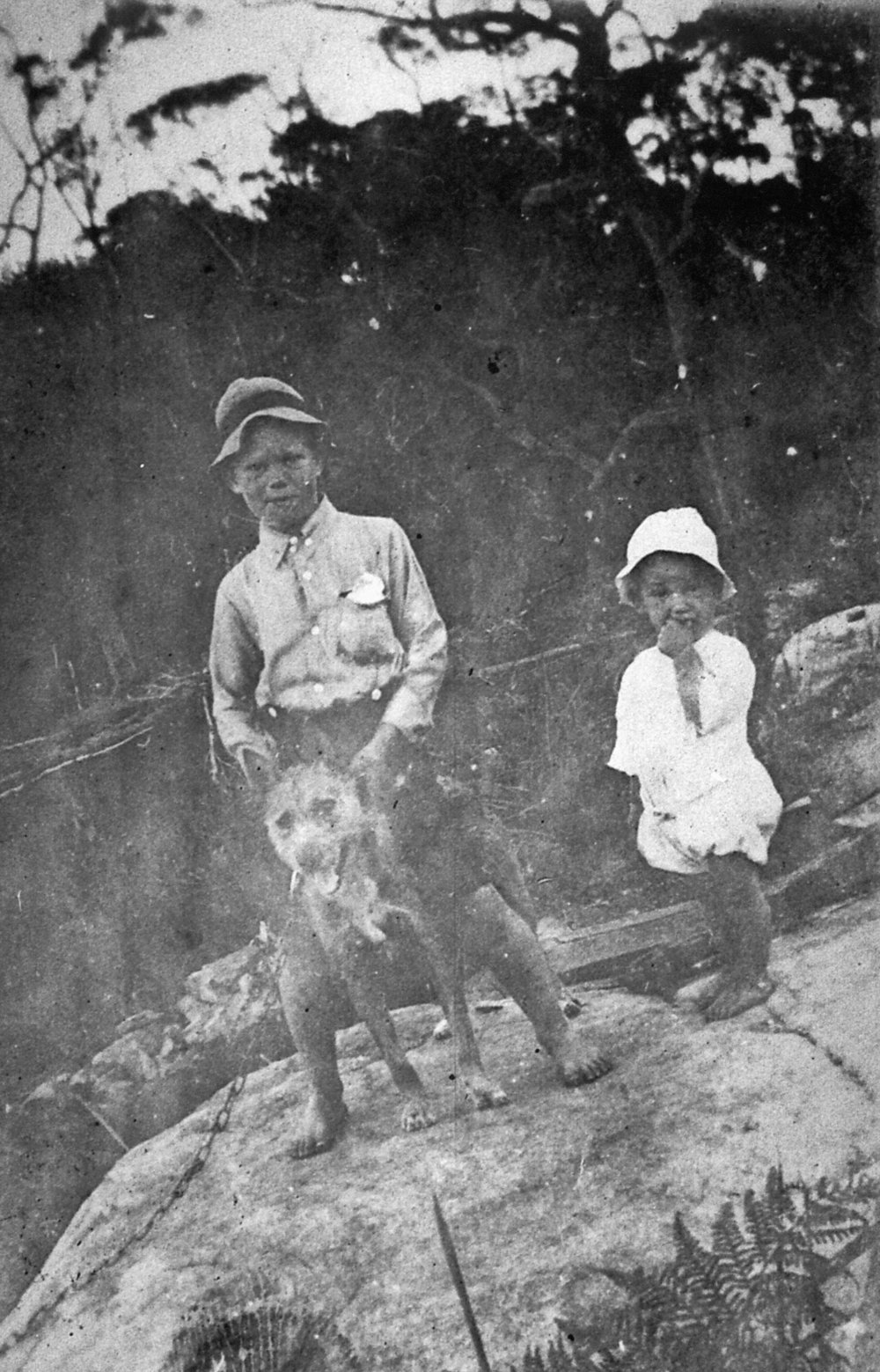 Phillip and Walter Osborne, Alexander Street Collaroy