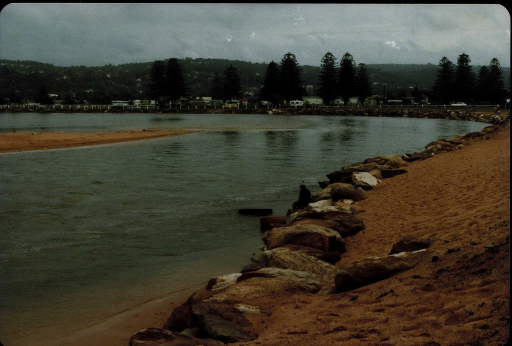 Flooding of Narrabeen Lagoon, near Lakeside Caravan Park