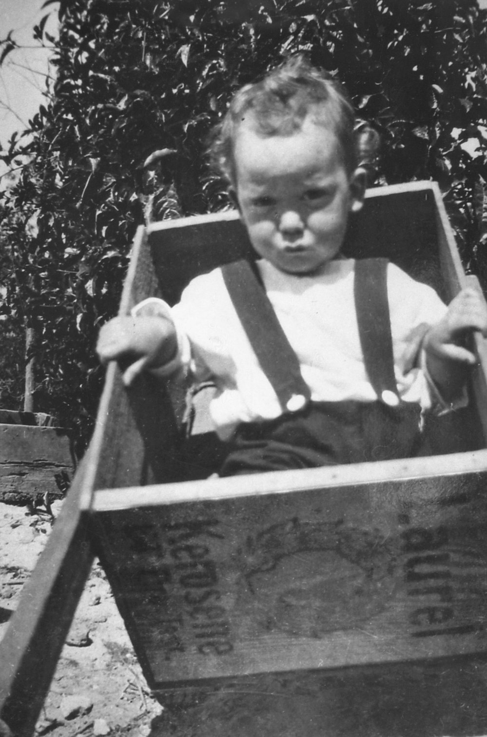 Walter Osborne at Alexander Street Collaroy