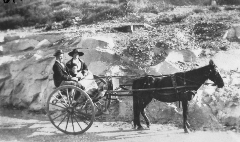Barrenjoey Road from Newport to Bilgola