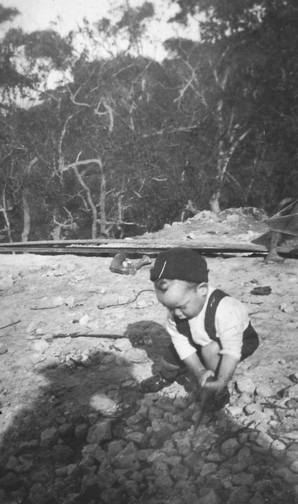 Walter Osborne at Alexander Street, Collaroy