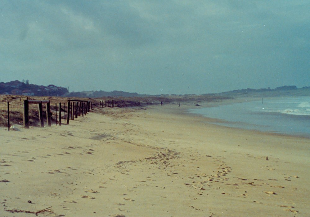 Dee Why Beach 1986