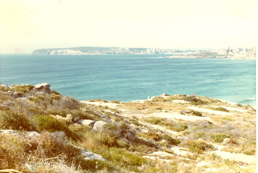 View from North Curl Curl looking south