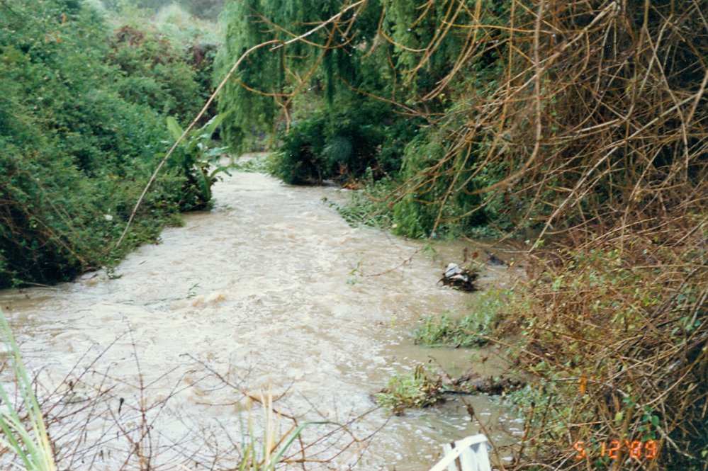 Manly Creek in flood