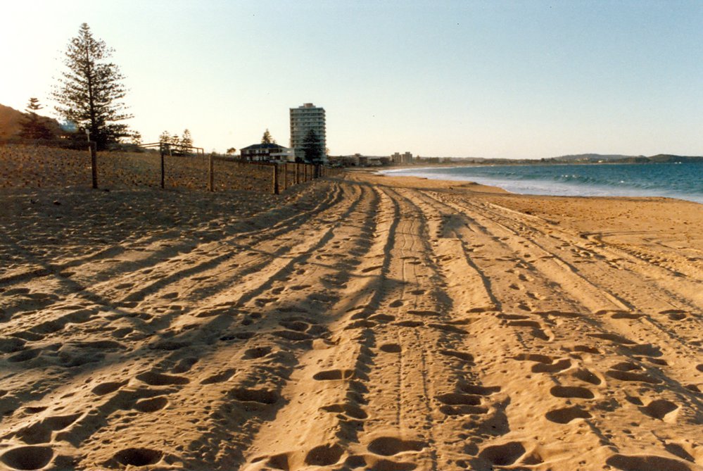 Collaroy Beach 1979 looking north