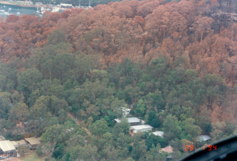 Bushfire damage Elvina Bay near McCarrs Creek 1994