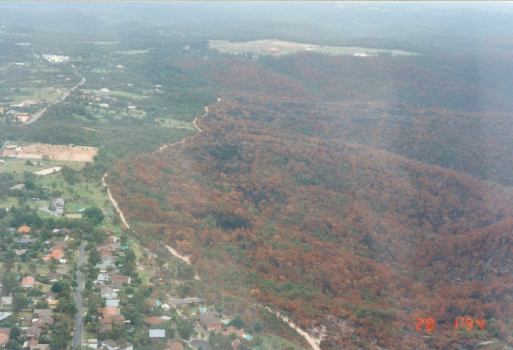 Bushfire damage, Terrey Hills and Duffys Forest