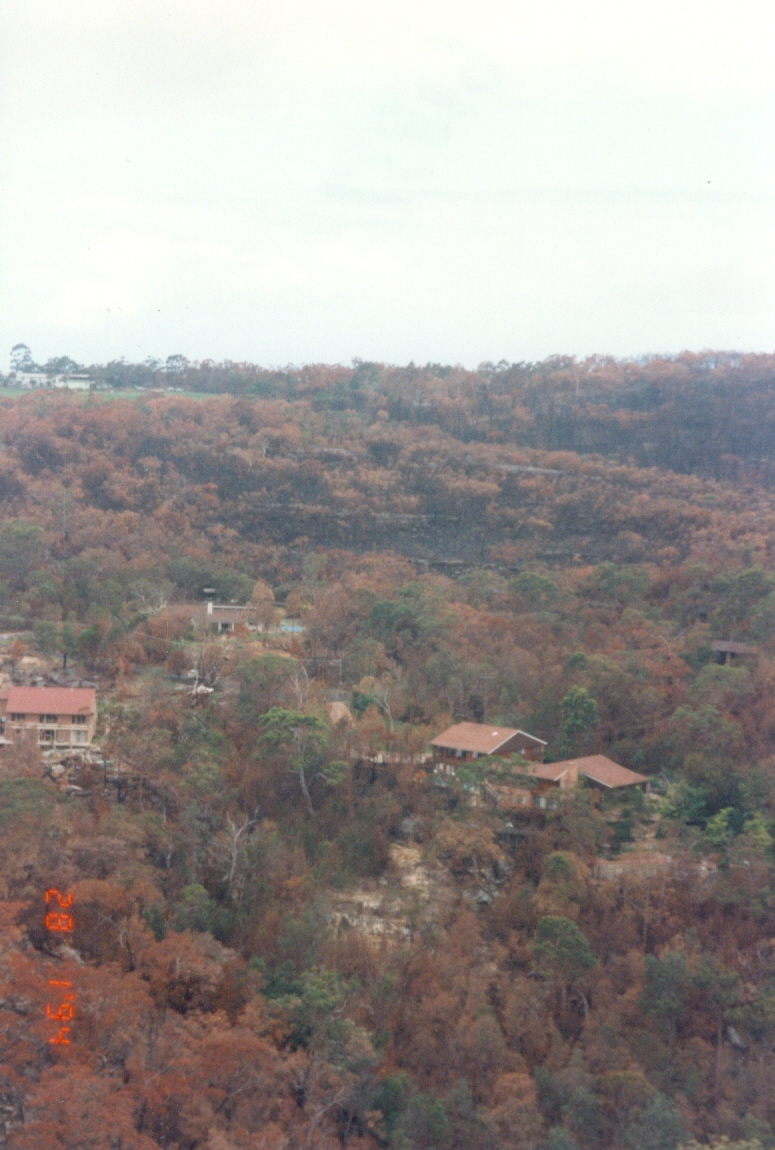 Bushfire damage, Elanora Heights