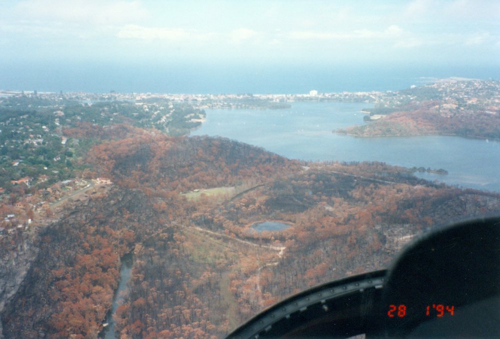 Bush fire damage near Narrabeen lagoon