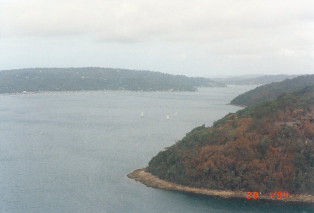 Bushfire damage, Pittwater
