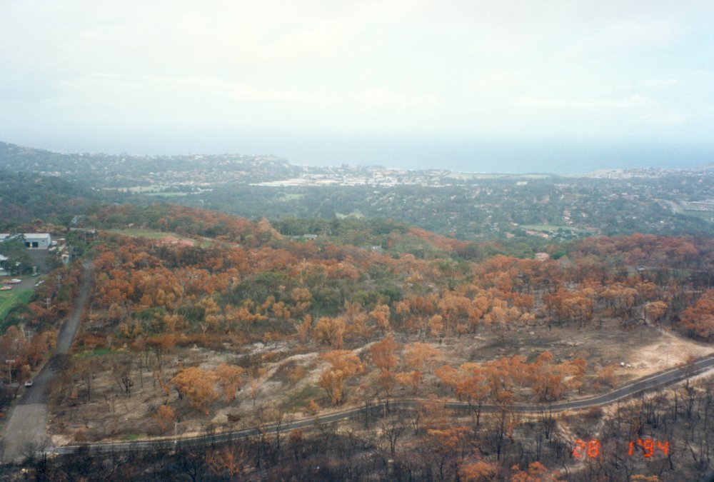 Bushfire damage, Elanora Heights