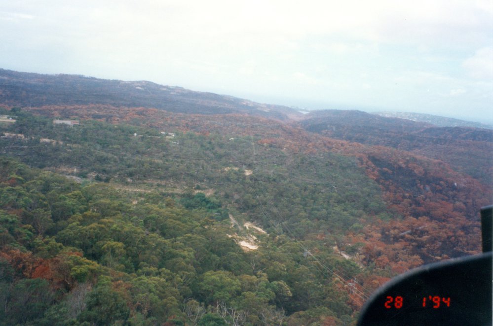 Bushfire damage, Garigal national Park
