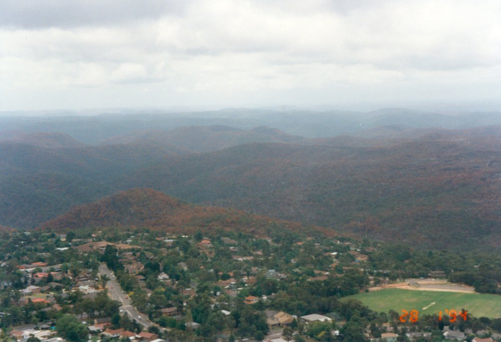 Bushfire damage, Terrey Hills, Ku-ring-gai National Park