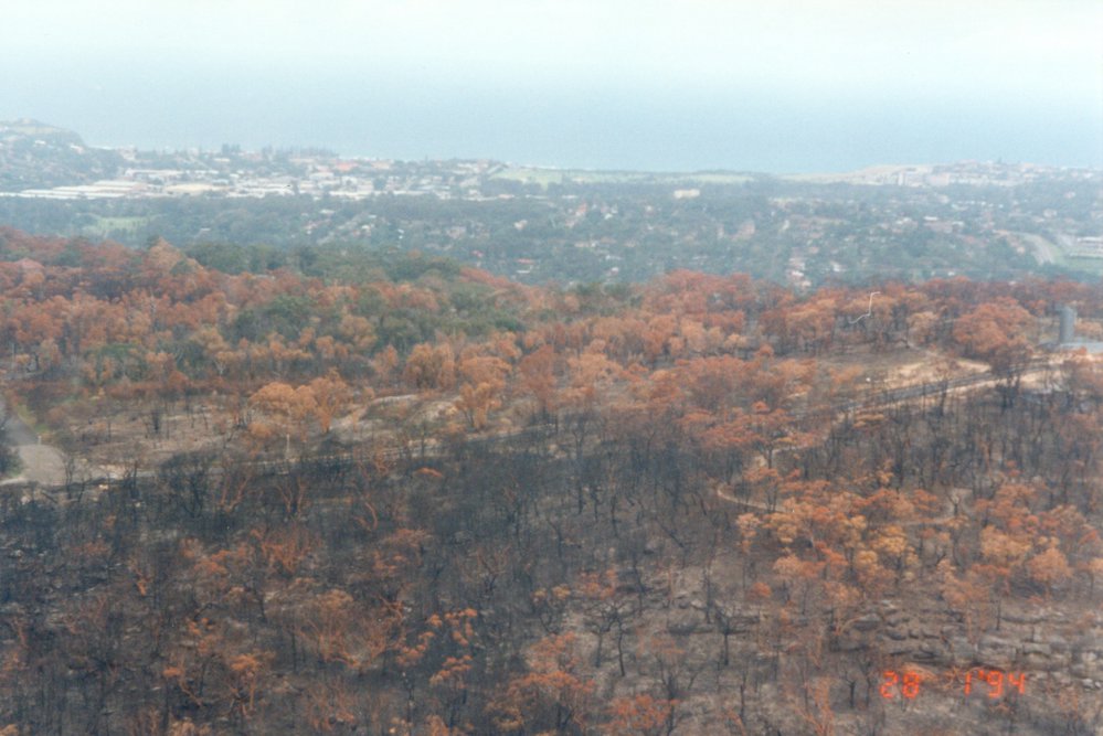 Bushfire damage, Elanora Heights