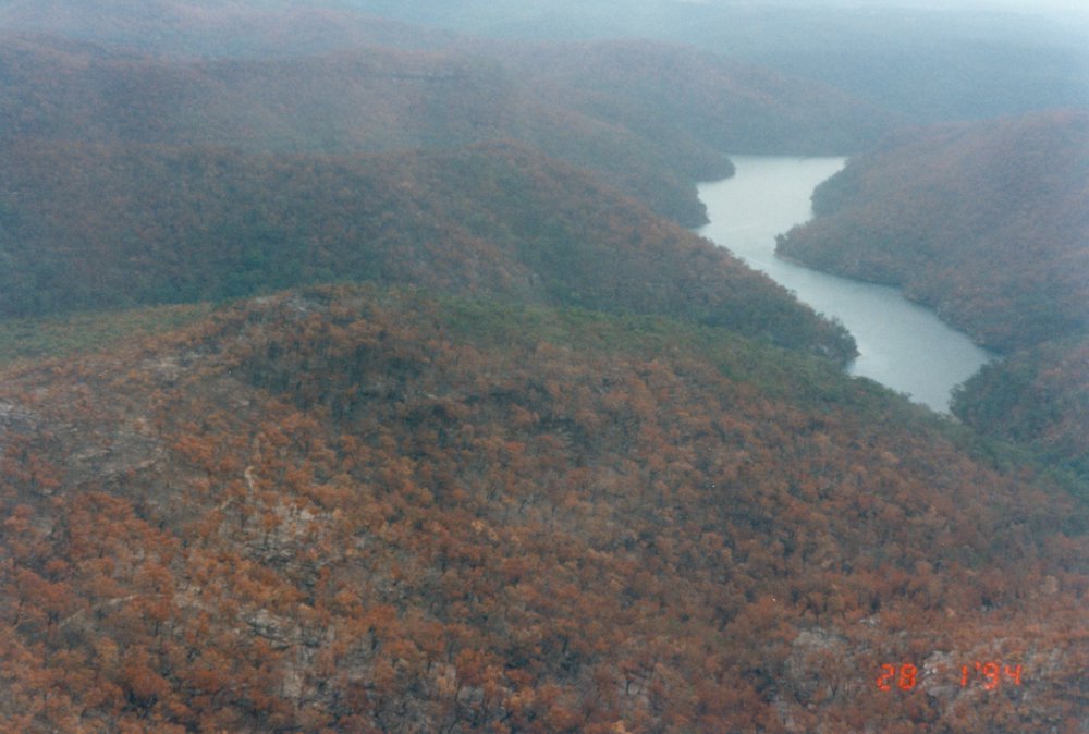 Bushfire damage, Ku-ring-gai National Park