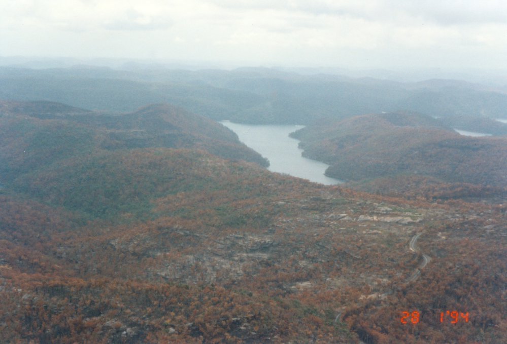 Bushfire damage, Ku-ring-gai National Park