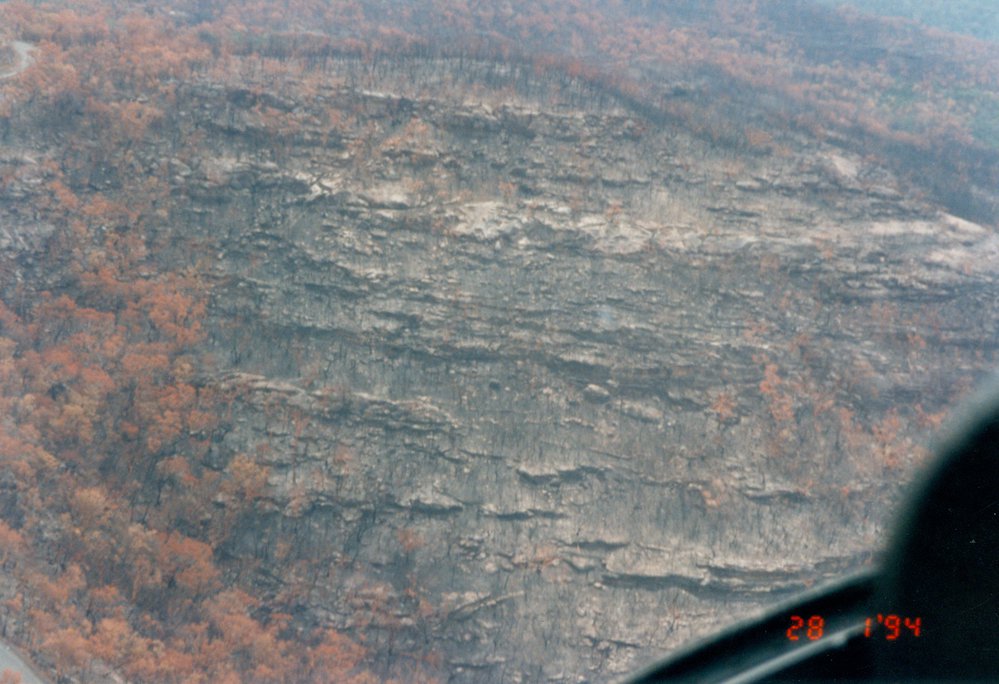 Bushfire damage