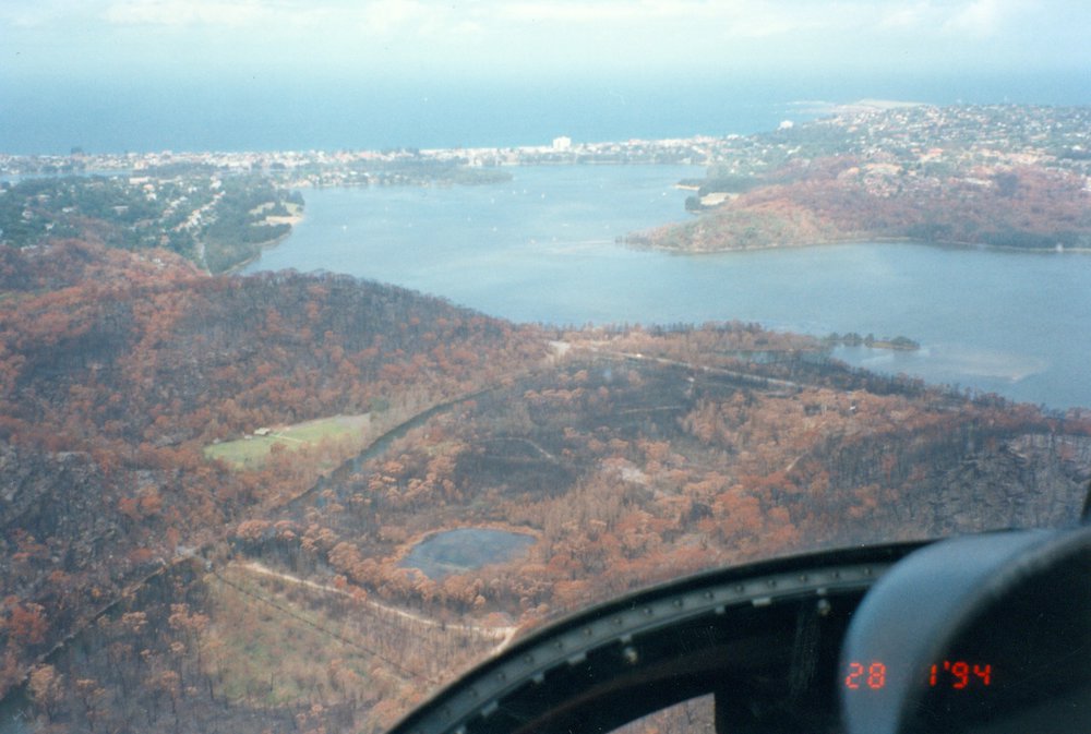 Bush fire damage, near Narrabeen Lagoon