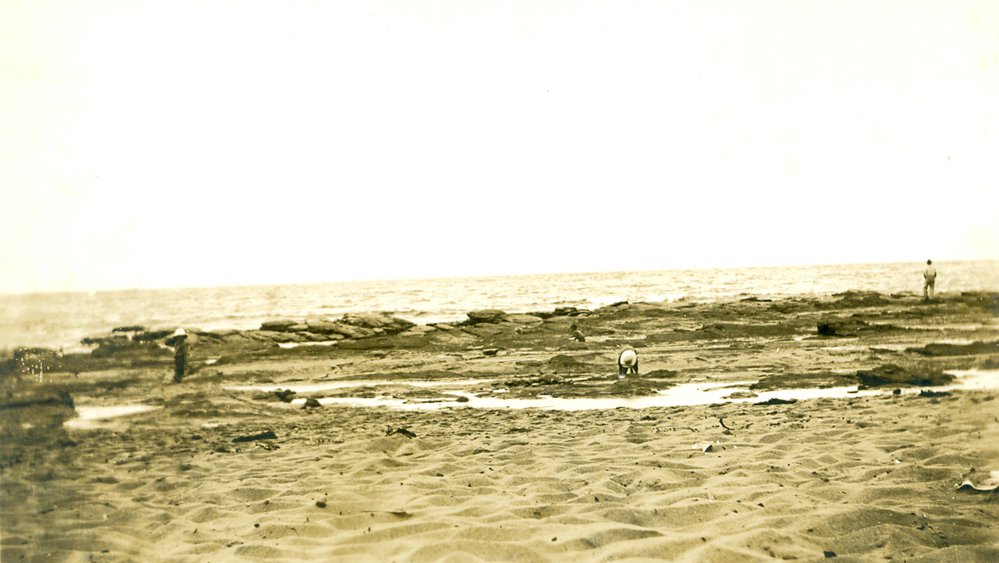 Collaroy Beach, near rock pool