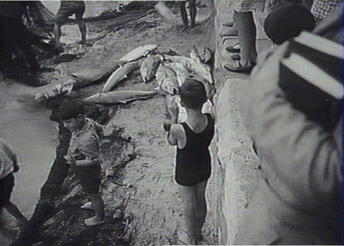Hauling in the catch, Manly