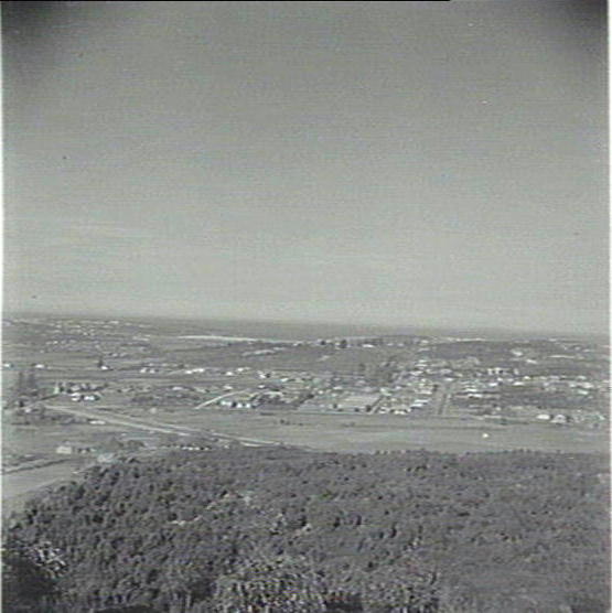 View from Allambie looking towards North Manly