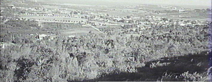 View over Brookvale Oval towards Curl Curl Beach