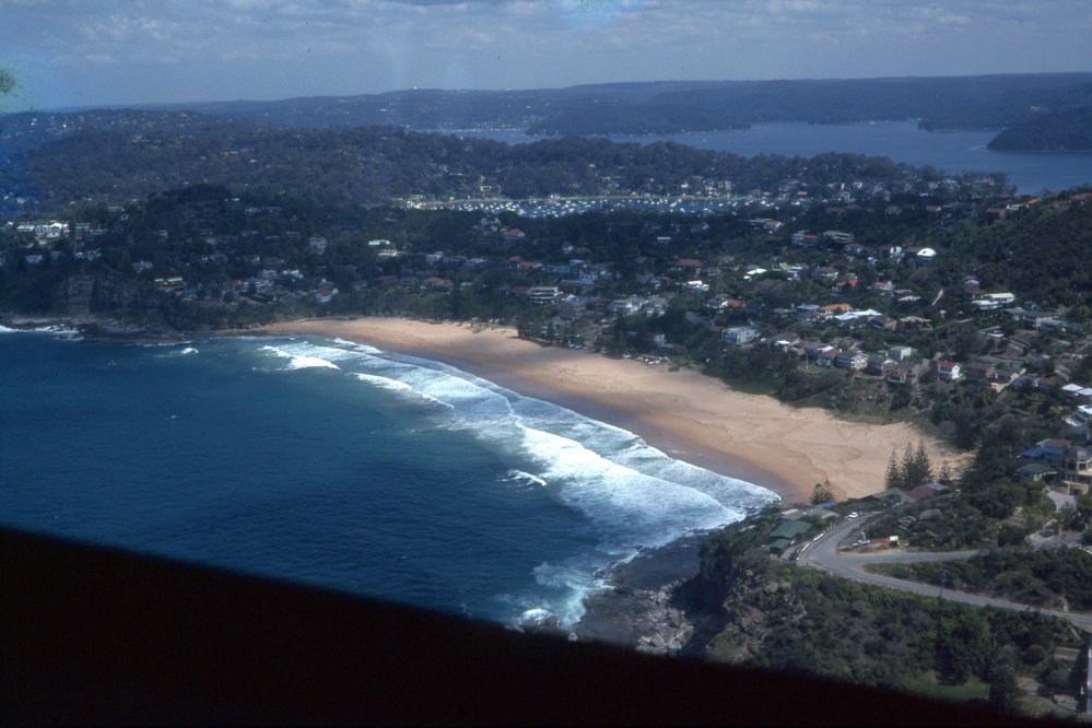 Whale Beach