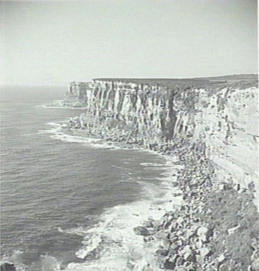 Coastline, North Head, Manly