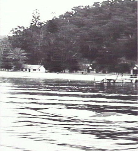 Looking towards The Basin, Pittwater