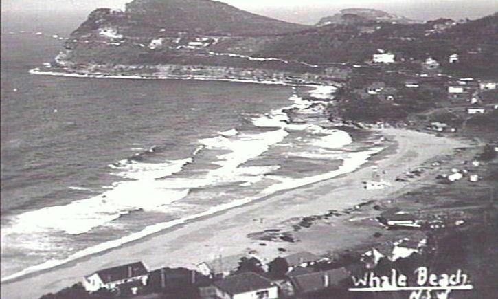 Whale Beach