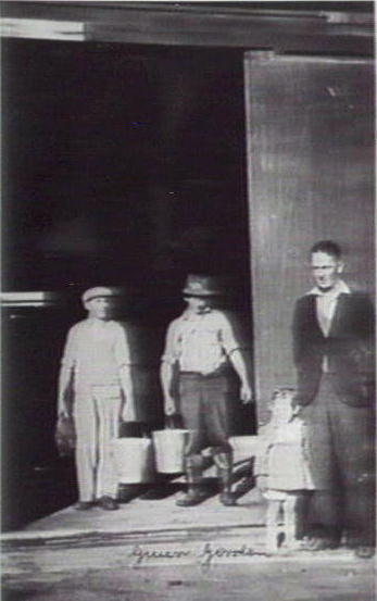 Davison's Dairy, Harbord / Freshwater