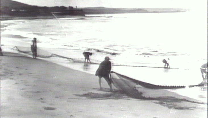 Fishermen hauling nets, Long Reef