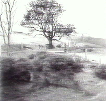 Bushland, Warringah Region