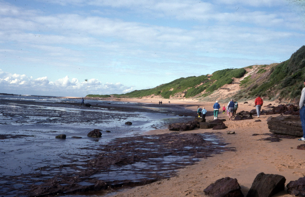 Long Reef and Fishermans Beach