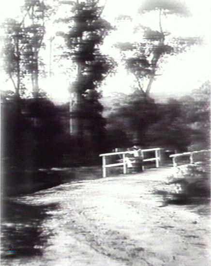 Old Pittwater Road, Brookvale