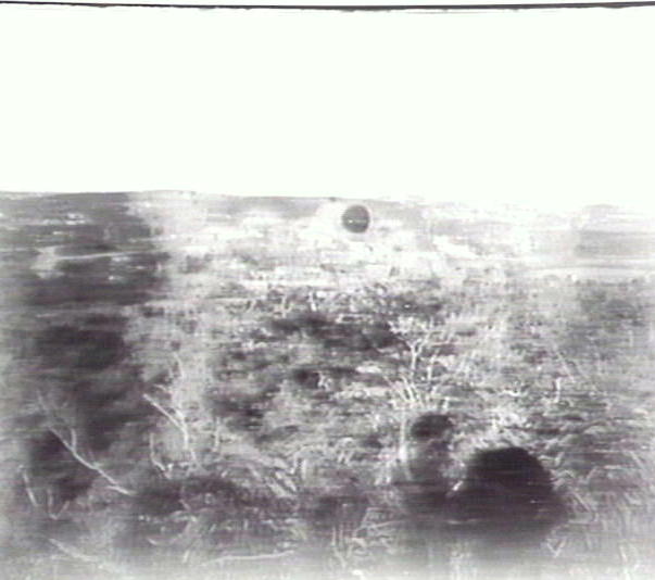 View towards Queenscliff and Manly from Allambie