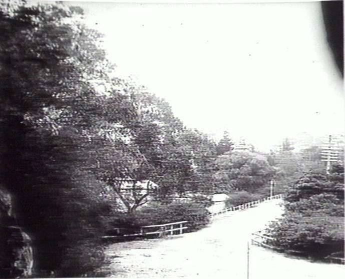 Dirt road, Brookvale