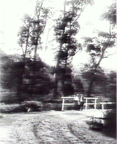 Old Pittwater Road, Brookvale