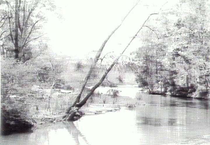 Creek, Warringah Region