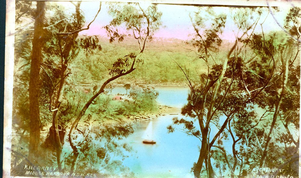 Killarney Point and Middle Harbour