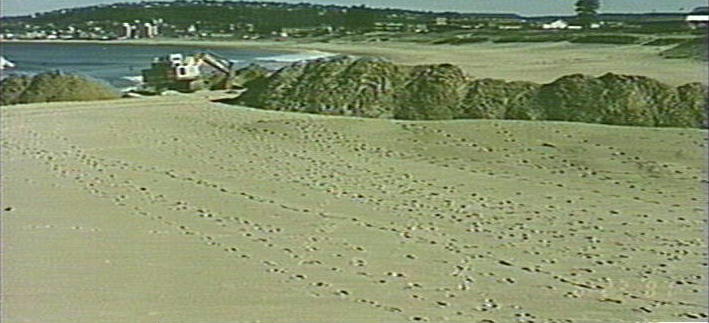 Entrance to Narrabeen Lagoon