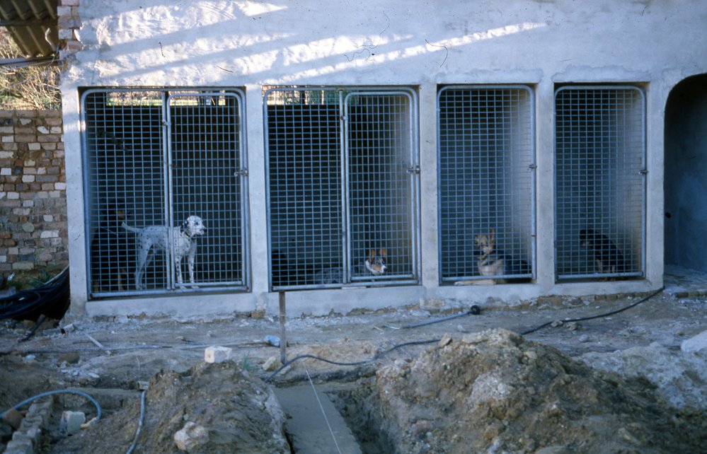 Warringah Dogs' Home, Ingleside