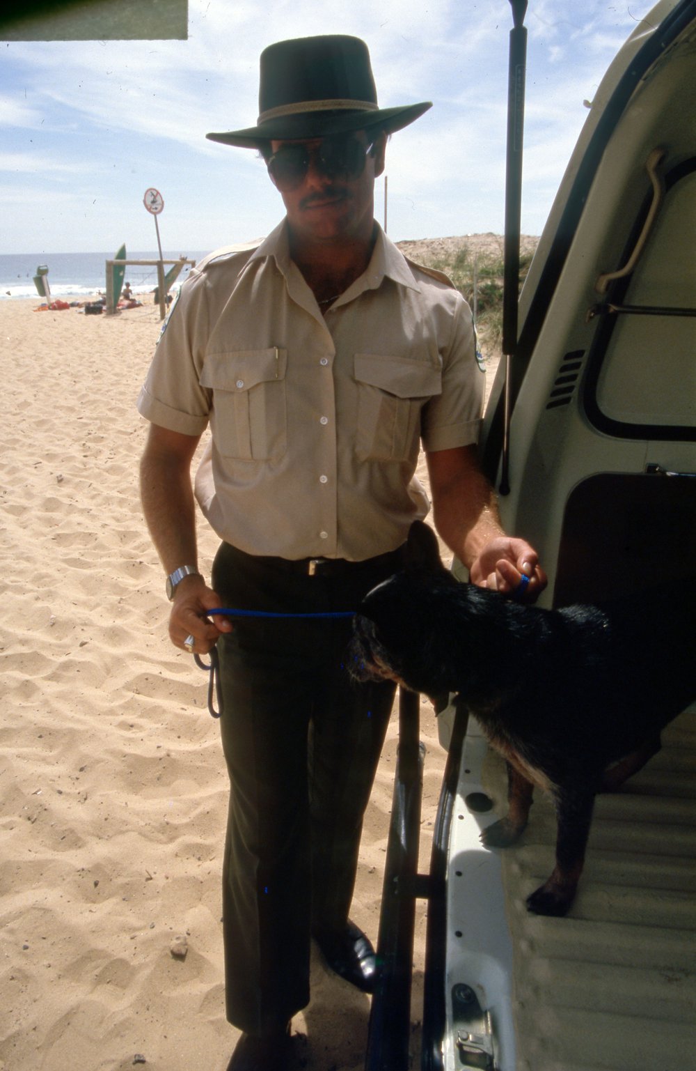 Warringah Council ranger catching dog on Dee Why Beach