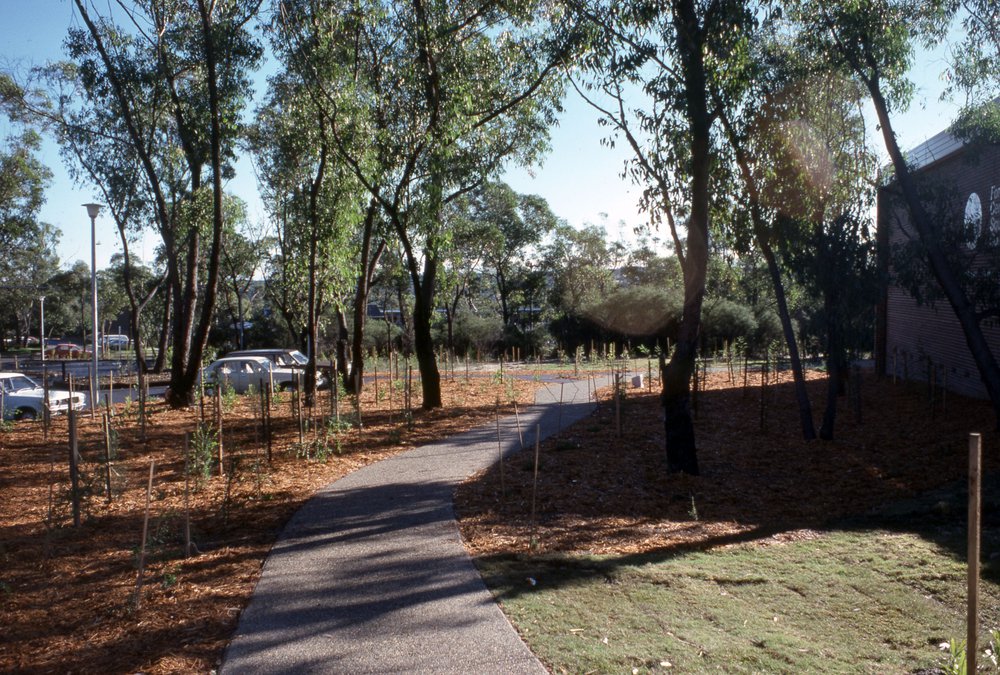 Forest Centre Squash Courts, Belrose