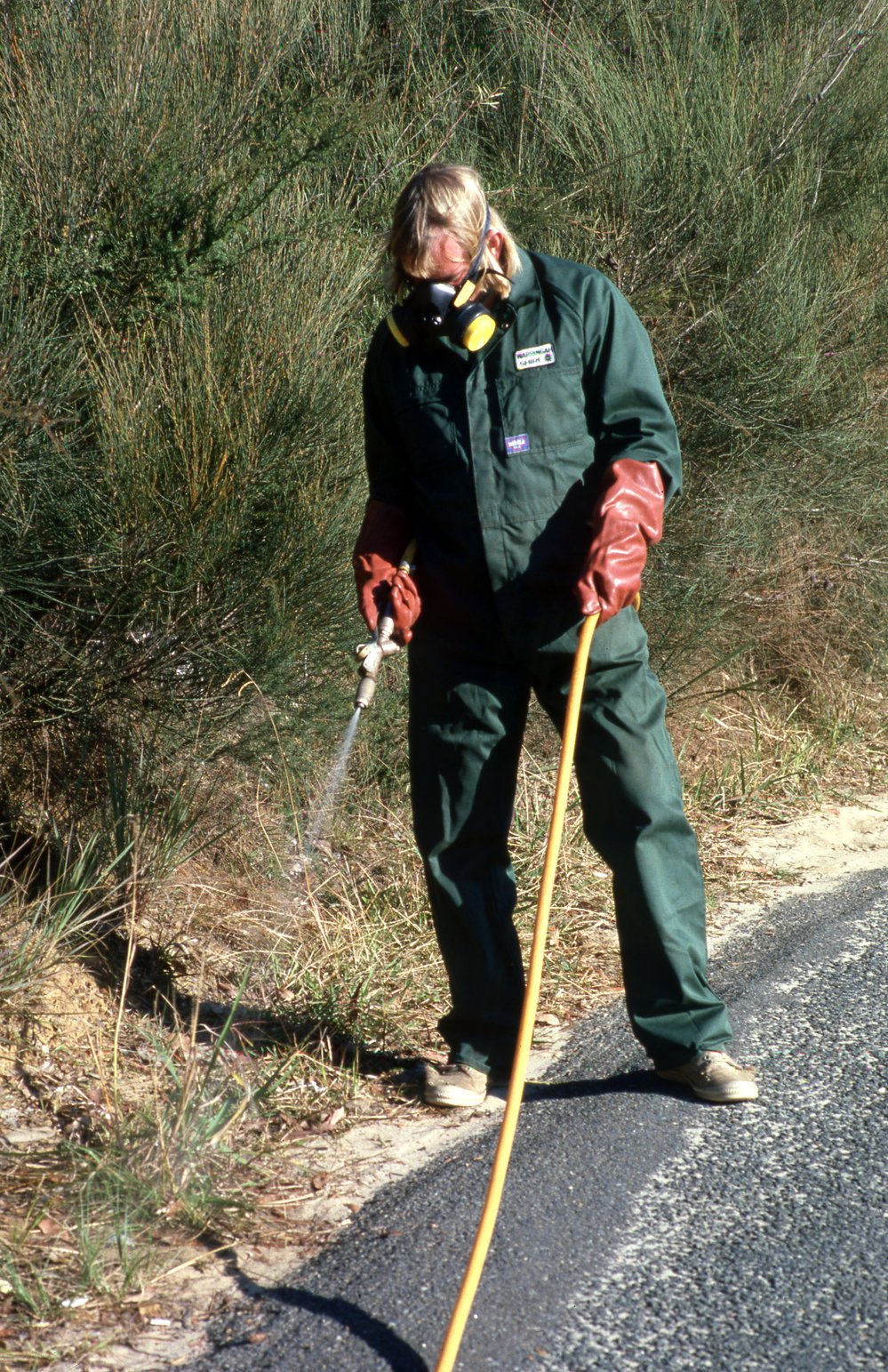 Warringah Council weed control
