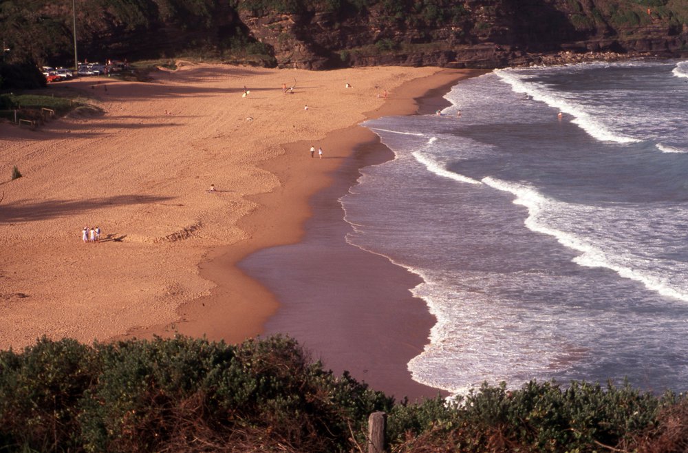 Warriewood Beach