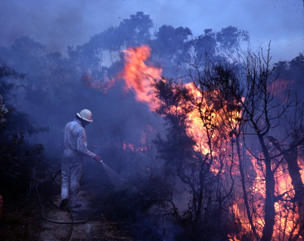 Warringah firefighter in action