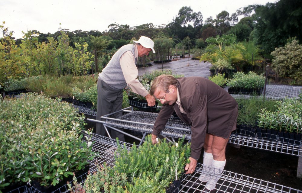 Warringah Shire Nursery, Ingleside