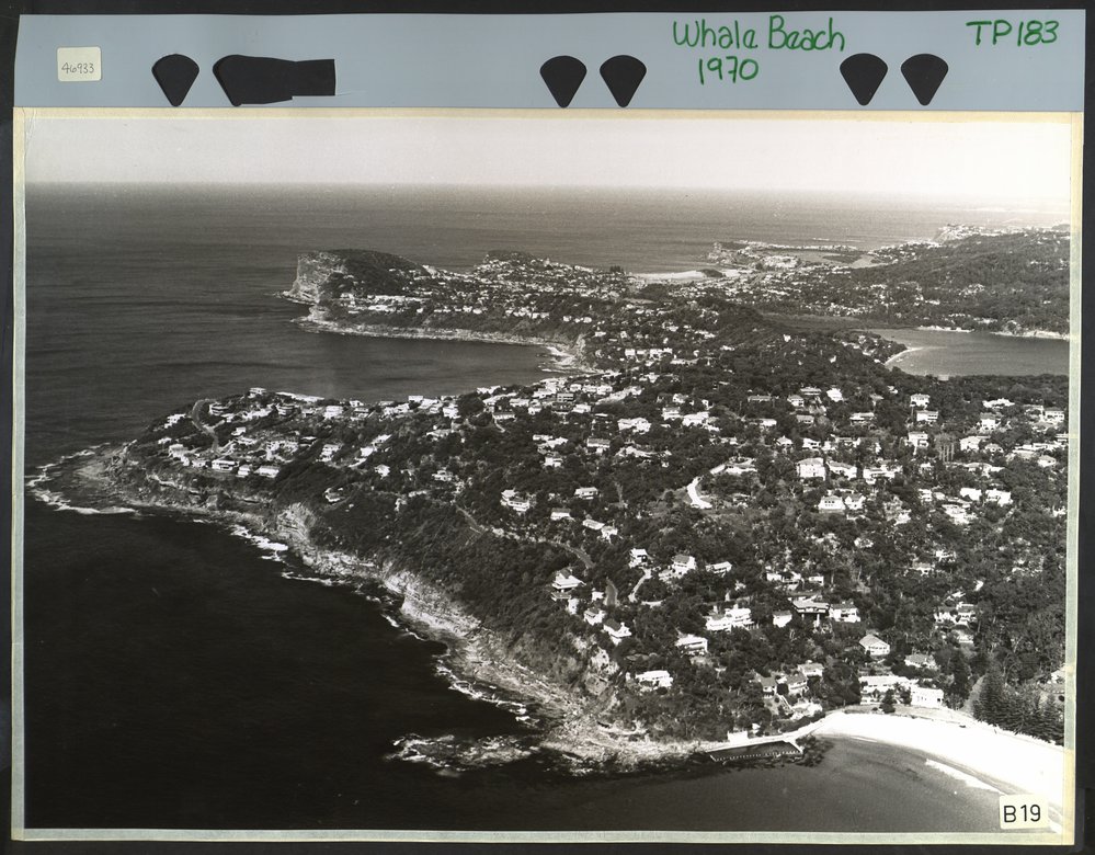 Aerial View of Whale Beach