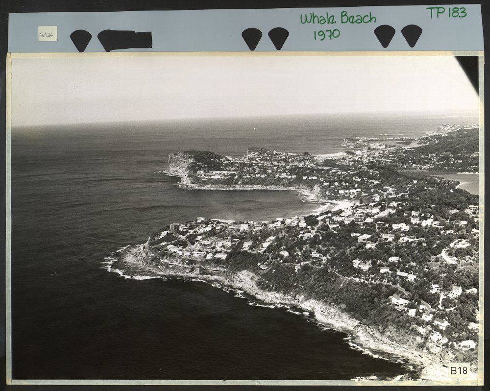 Aerial View of Whale Beach